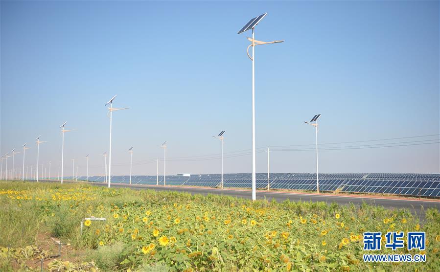 （寧夏60年）（10）寧夏中衛：科學治沙顯成效